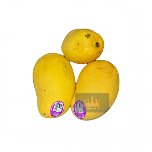 Fresh Mangoes Kent Mango Maharaja Store Online Desi Grocery