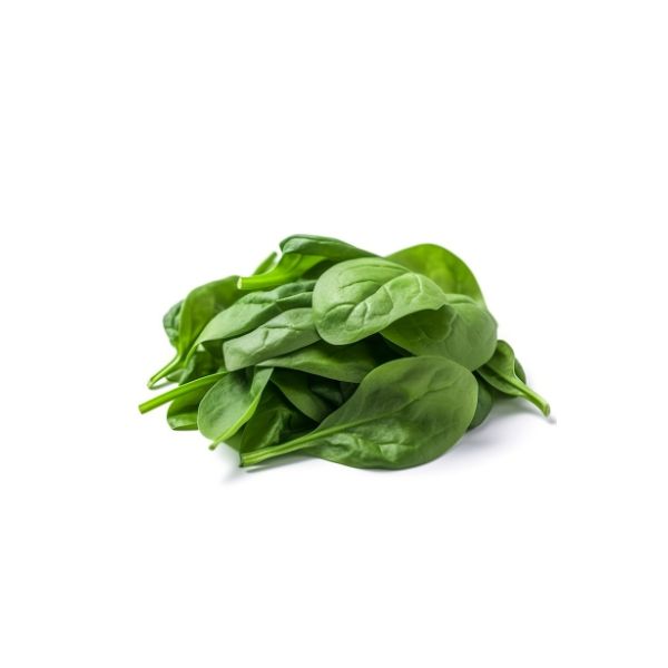 Green Spinach Bunch